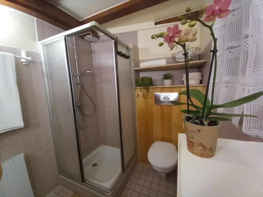 S'Gleina Gleck, In The Heart Of A Wine City, Charmant Studio 1 Piece Et 1 Salle De Bain Kaysersberg-Vignoble Exterior foto